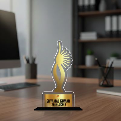 Personalized Corporate Recognition Award  Custom Acrylic Trophy with Name and Designation, Unique Gift for Team Leaders, Managers, Corporate Appreciation and Employees